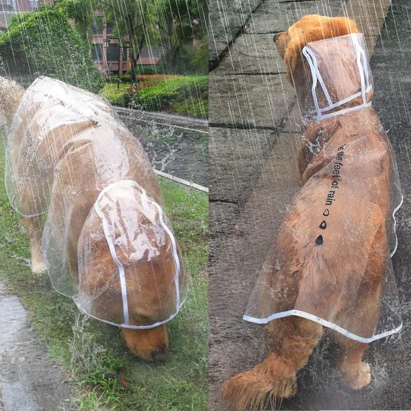 Dog Raincoat