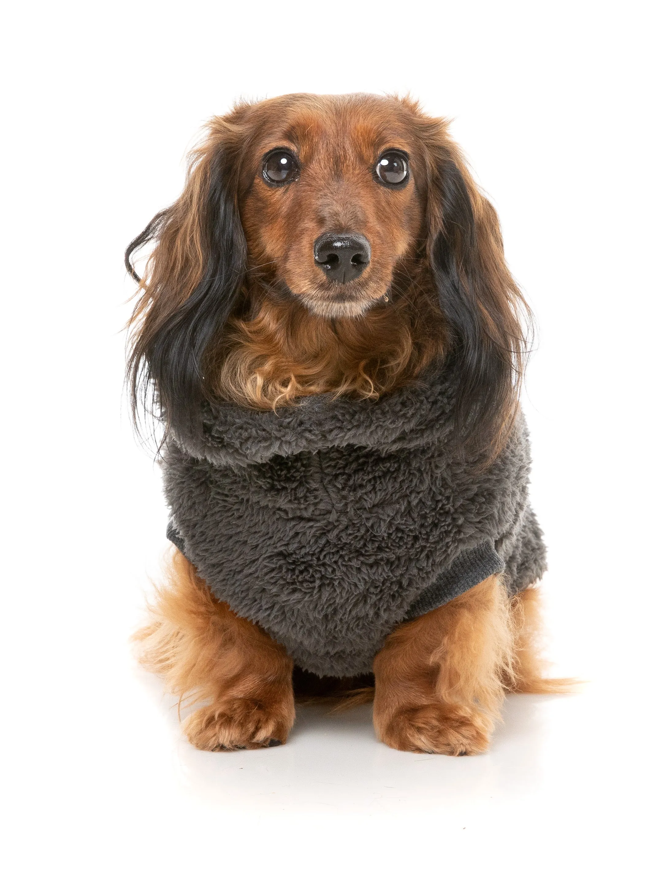 FuzzYard Turtle Teddy Dog Sweater Carbon Black