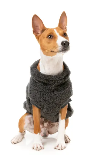 FuzzYard Turtle Teddy Dog Sweater Carbon Black