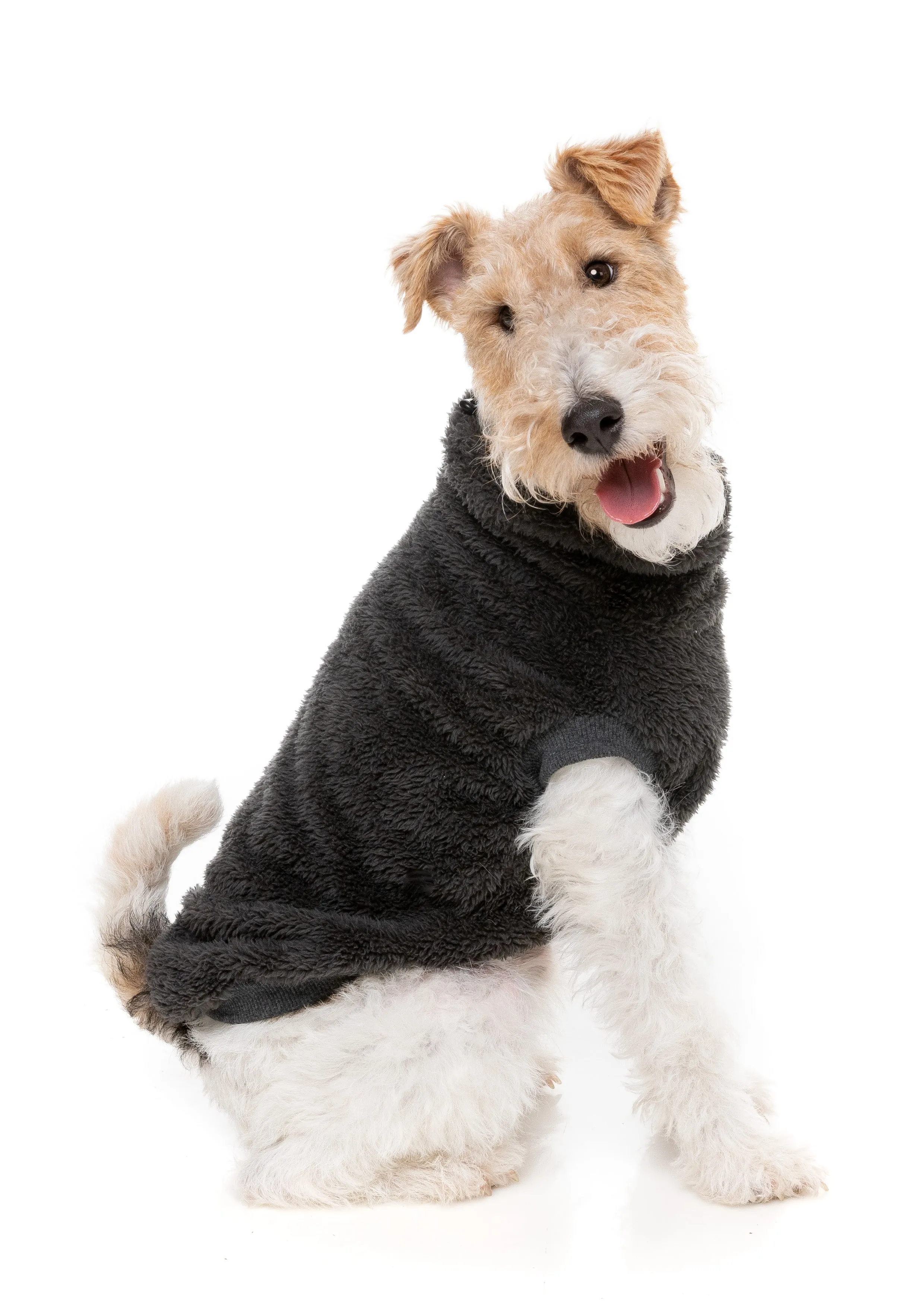 FuzzYard Turtle Teddy Dog Sweater Carbon Black