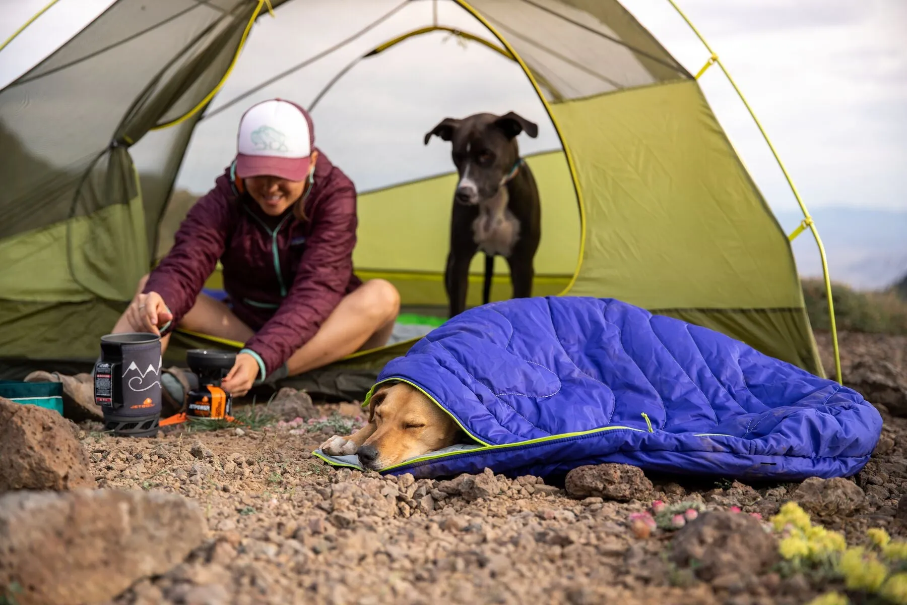 Highlands Dog Sleeping Bag