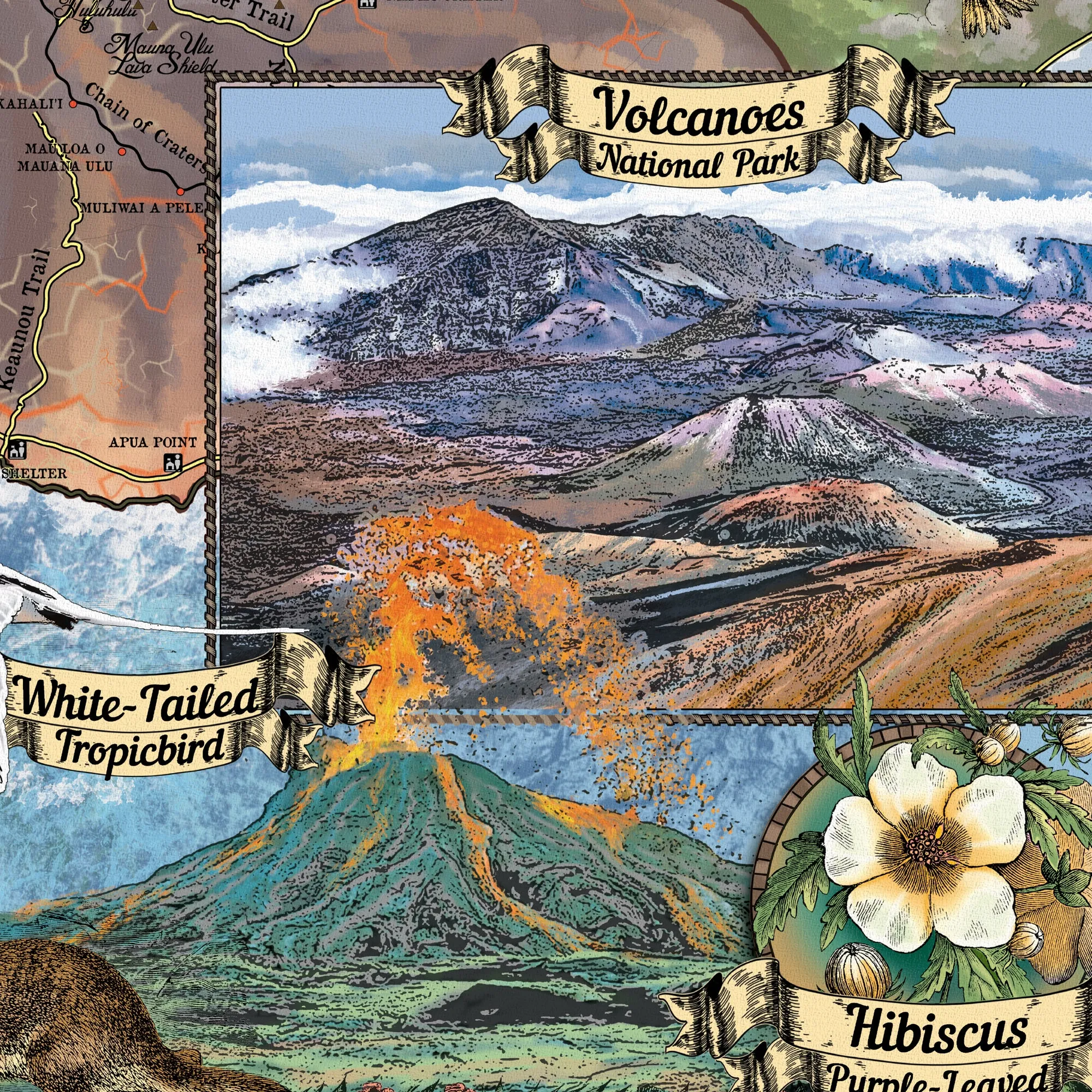 Hiking Volcanoes Hawaii Antique Map Art Blanket Throw Soft Sherpa Fleece Warm Blanket For Bed Sofa Chair Couch Gift & Winter Travel