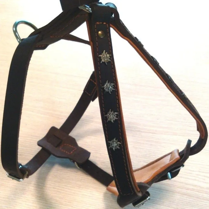 LEATHER HARNESS SPECIAL