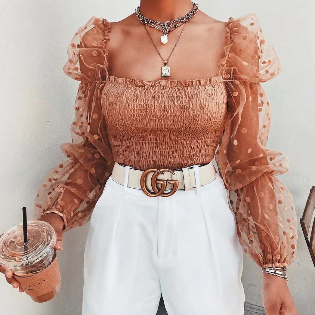 Long Sleeve Sheer Mesh Chiffon Blouse