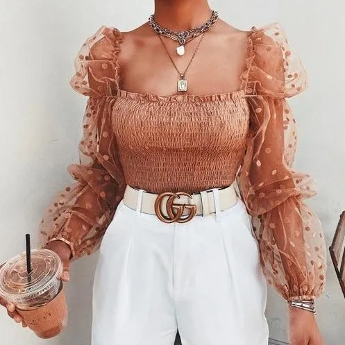 Long Sleeve Sheer Mesh Chiffon Blouse