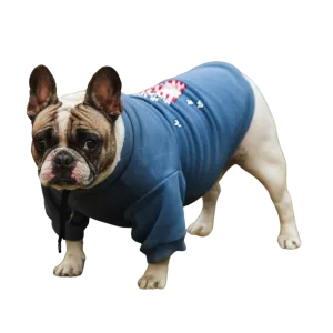 Pet Snugs Popcorn Print Sweatshirt for Dogs (Sky Blue)