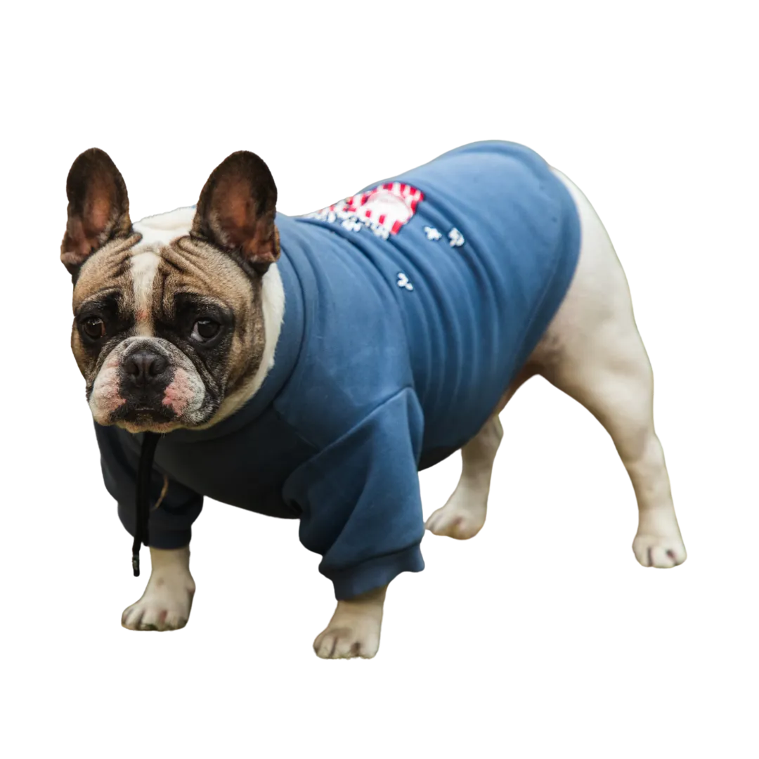 Pet Snugs Popcorn Print Sweatshirt for Dogs (Sky Blue)