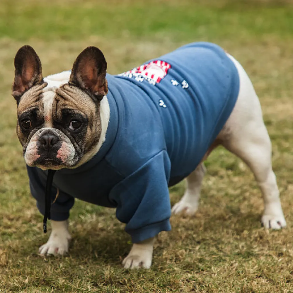 Pet Snugs Popcorn Print Sweatshirt for Dogs (Sky Blue)