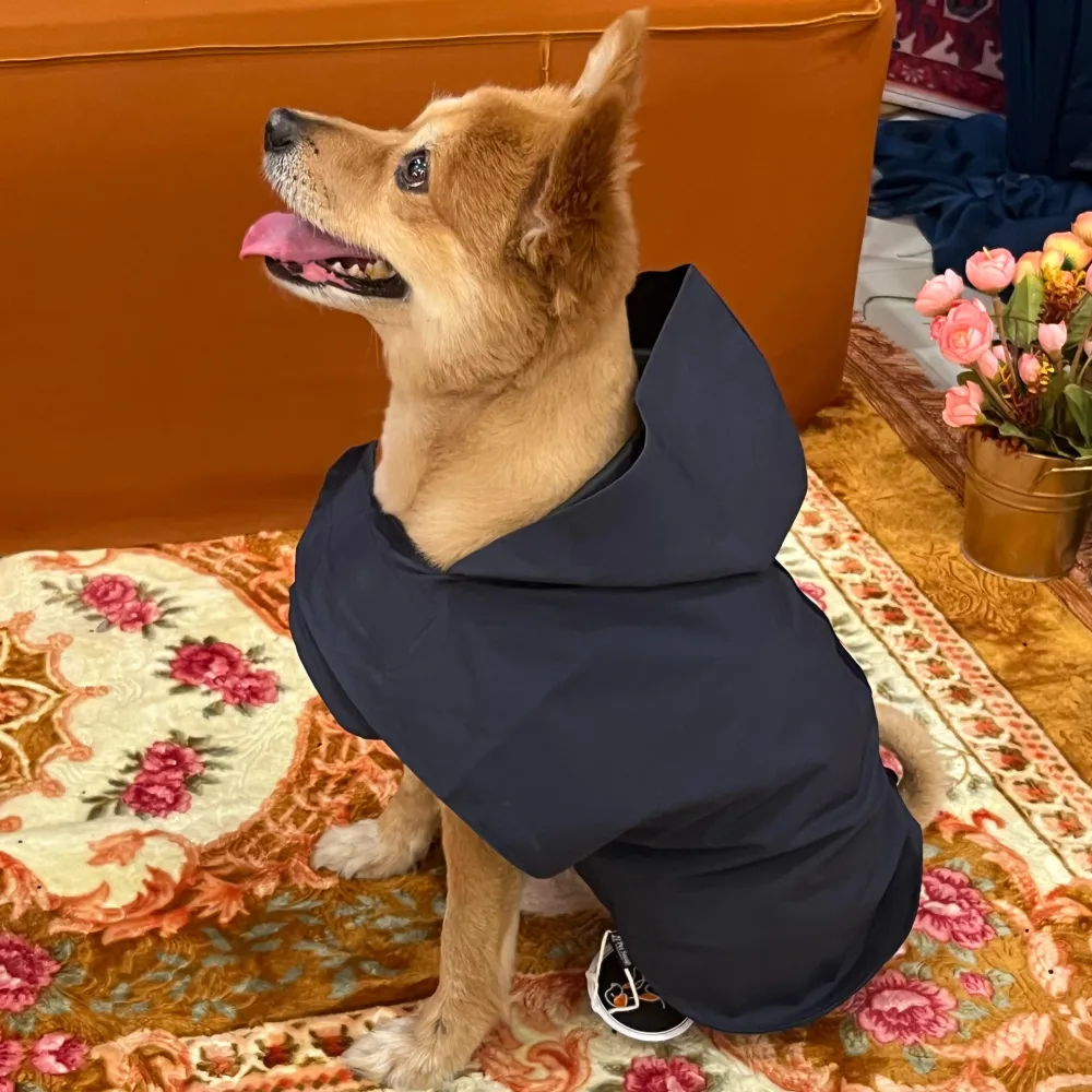 Petsnugs 100% Waterproof Raincoat for Dogs and Cats (Navy Blue)