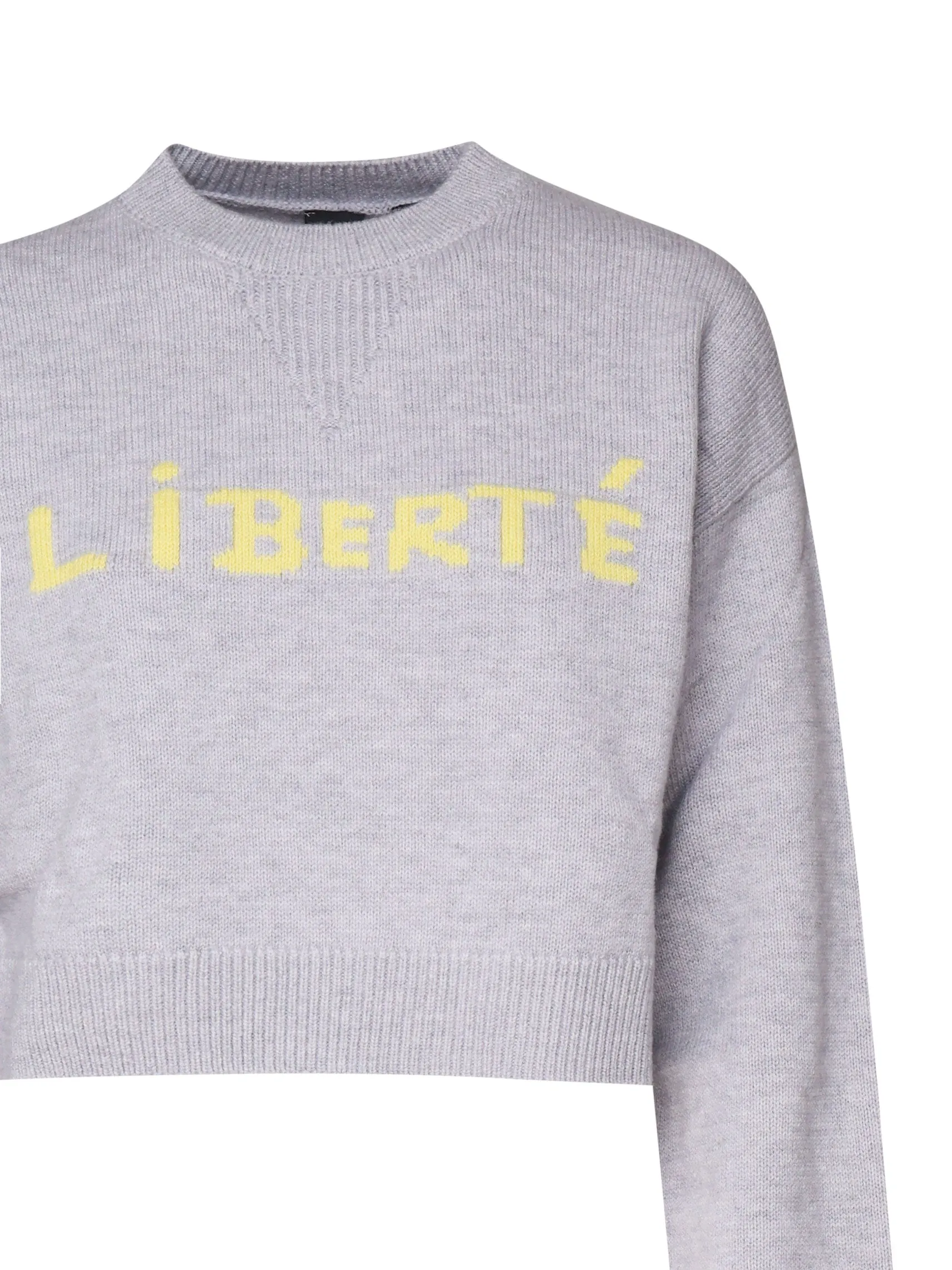 Short Grey Sweatshirt with Statement Writing