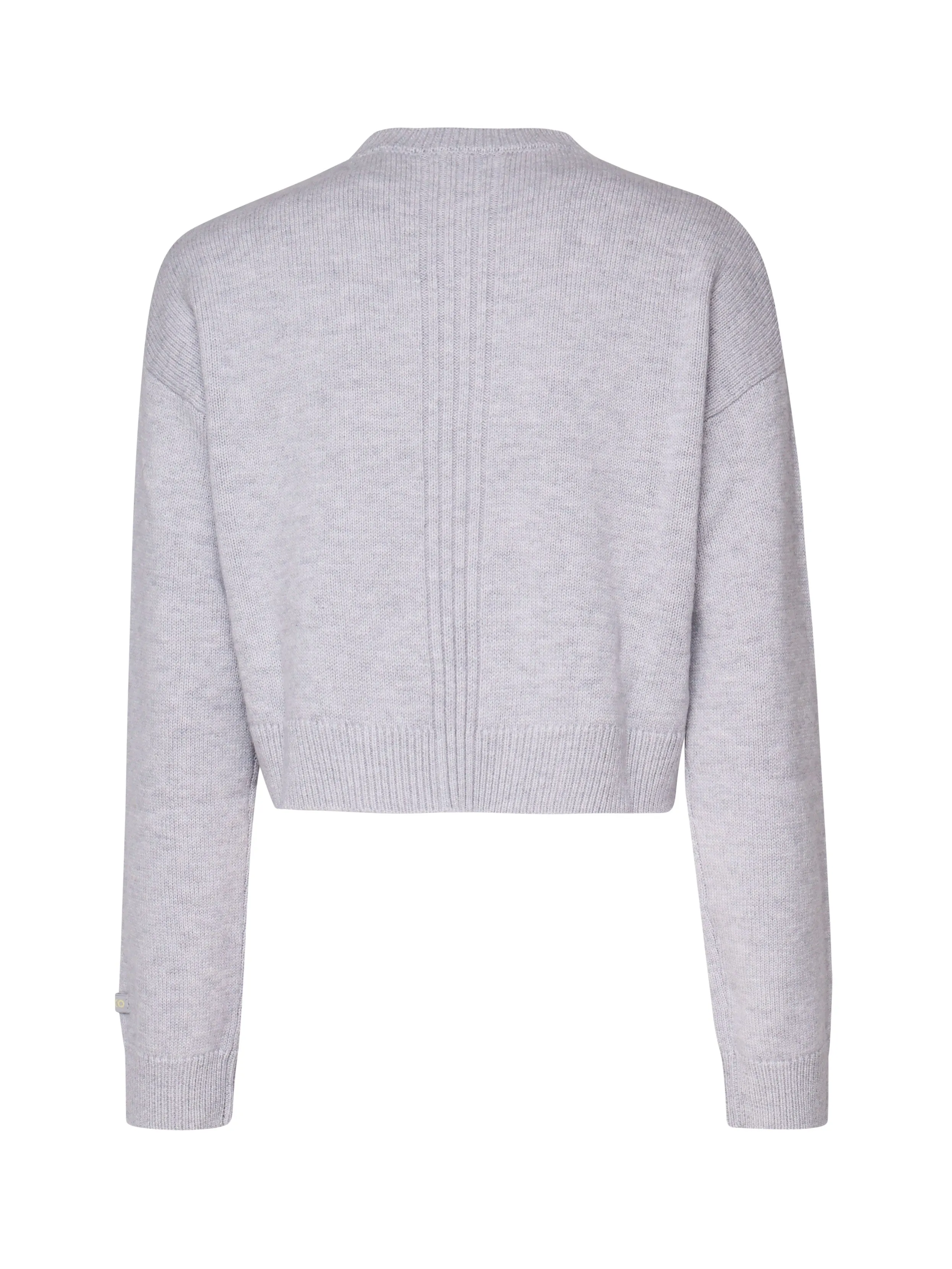 Short Grey Sweatshirt with Statement Writing