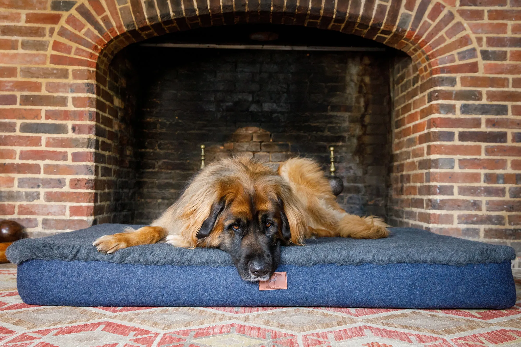 Slate Grey Giant Dog Mat