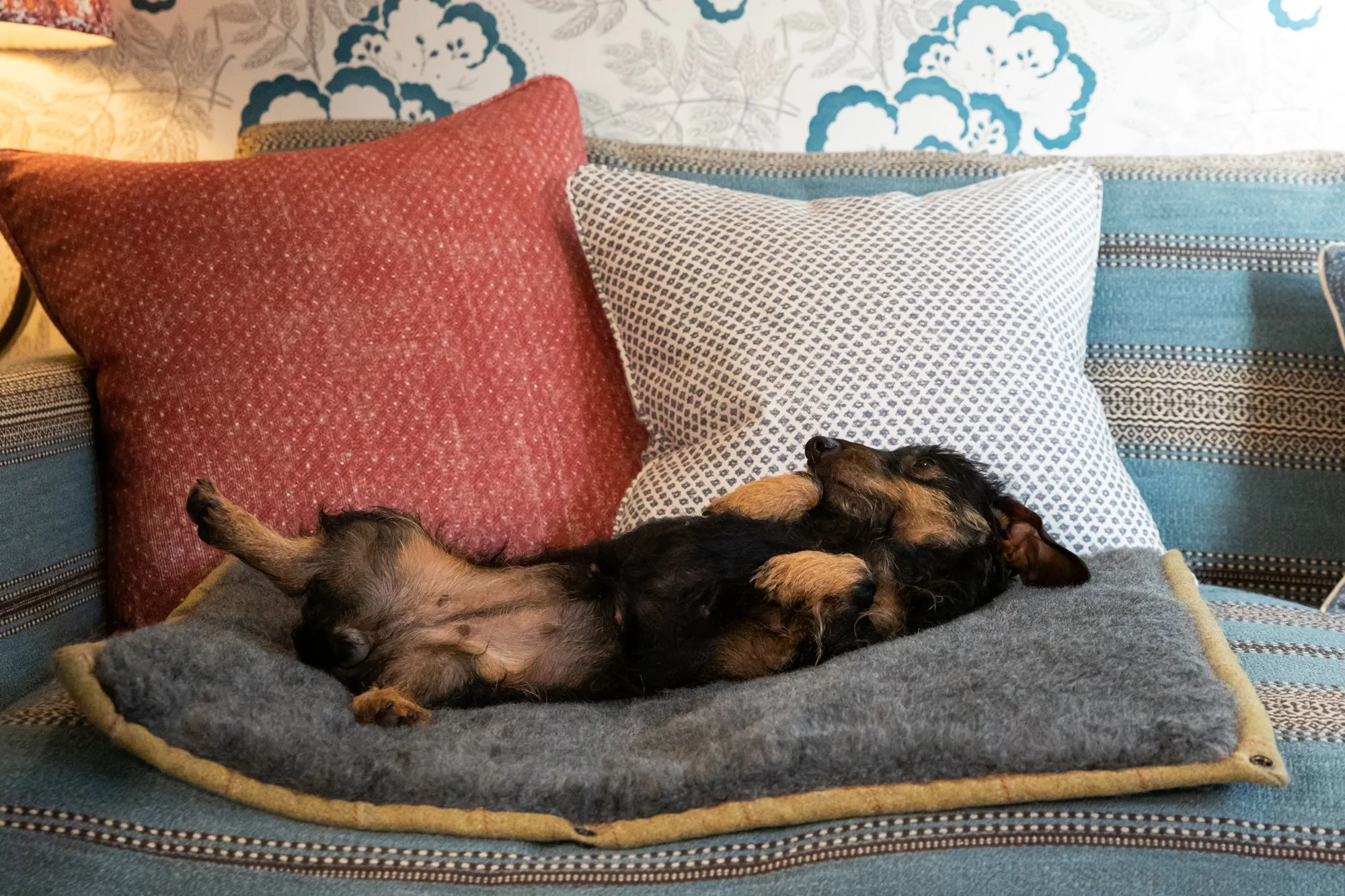 Tweed Dog Roll Mat